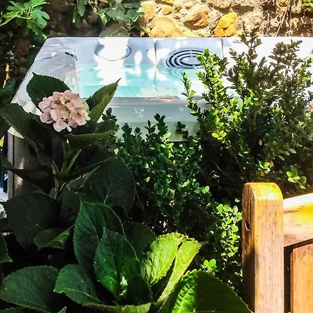 La Casa Del Pepe Rosa * Massa Lubrense